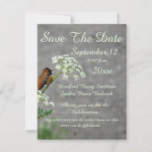 Hummingbird and Queen's Lace flower Save The Date (Voorkant)
