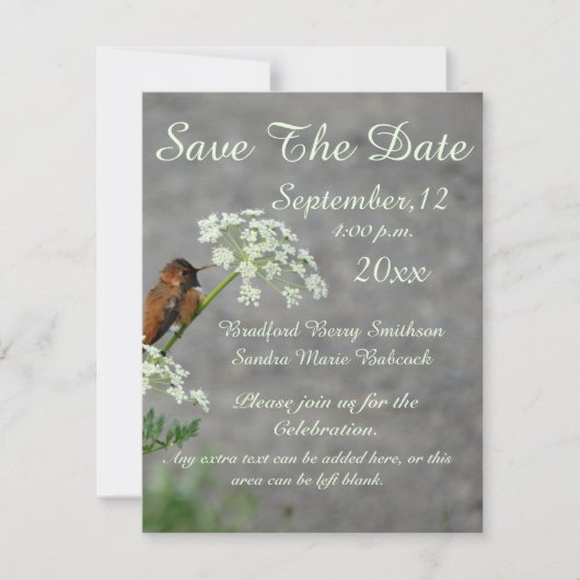 Hummingbird and Queen's Lace flower Save The Date (Voorkant)