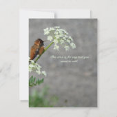 Hummingbird and Queen's Lace flower Save The Date (Achterkant)