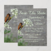 Hummingbird and Queen's Lace flower Save The Date (Voorkant / Achterkant)
