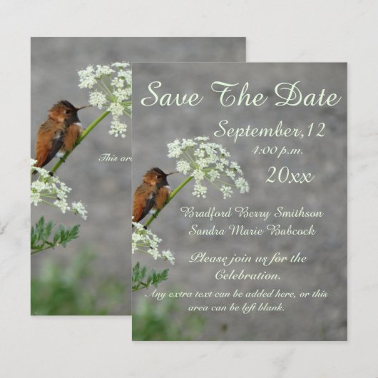 Hummingbird and Queen's Lace flower Save The Date (Voorkant / Achterkant)