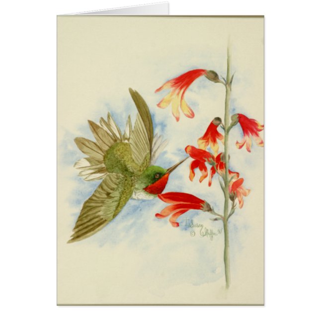 Hummingbird and Red Blossom (Voorkant)