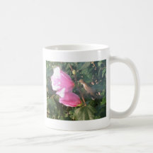 Hummingbird and Roos of Sharon