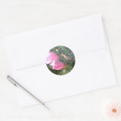 Hummingbird and Roos of Sharon Ronde Sticker (Envelop)