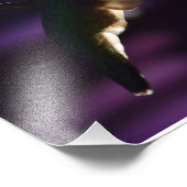 Hummingbird and Salvia Black & Blue Foto Afdruk (Hoek)