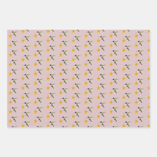 Hummingbird and Star Inpakpapier Vel (Voorkant 3)