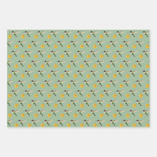 Hummingbird and Star Inpakpapier Vel (Voorkant 2)