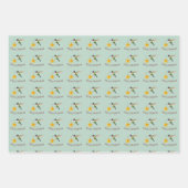 Hummingbird and Star Inpakpapier Vel (Voorkant)