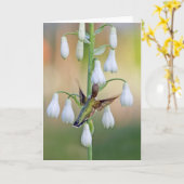 Hummingbird and Summer Hyacinth Kaart (Gele Bloem)
