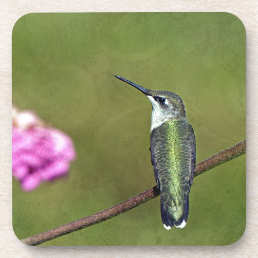 Hummingbird and Zinnia Bier Onderzetter (Voorkant)