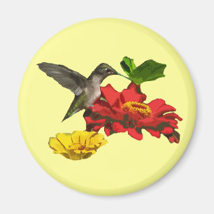 Hummingbird and Zinnias Magneet