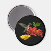 Hummingbird and Zinnias Magneet (Voorkant / Achterkant)