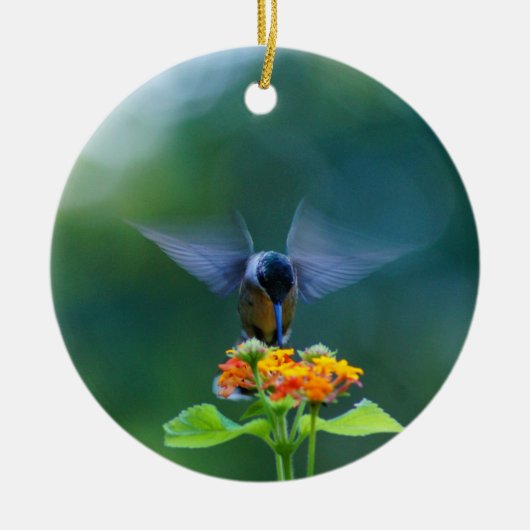 Hummingbird Angel Wings Ornament (Voorkant)