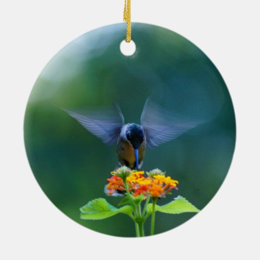 Hummingbird Angel Wings Ornament (Achterkant)