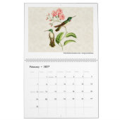 Hummingbird Art 2026 Kalender (Feb 2027)