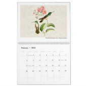  Hummingbird Art 2026 Kalender (Feb 2026)