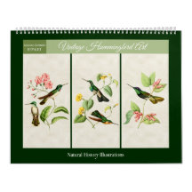 Hummingbird Art 2026