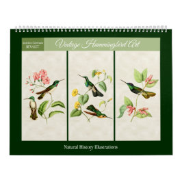  Hummingbird Art 2026 Kalender