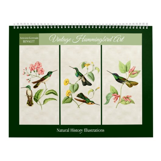  Hummingbird Art 2026 Kalender (Hoes)