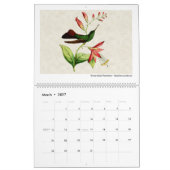  Hummingbird Art 2026 Kalender (Mar 2027)