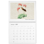  Hummingbird Art 2026 Kalender (Jan 2027)