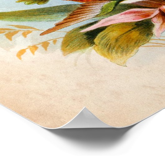  Hummingbird Art nr. 13 Poster (Hoek)