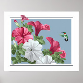 Hummingbird Art Poster