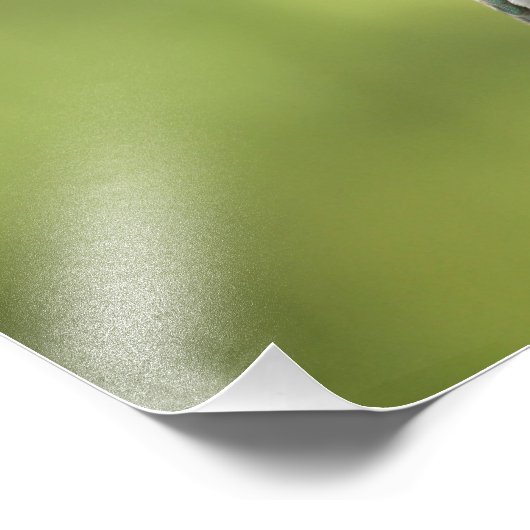 Hummingbird at feeder foto afdruk (Hoek)