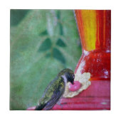 Hummingbird at Feeder Tegeltje (Voorkant)