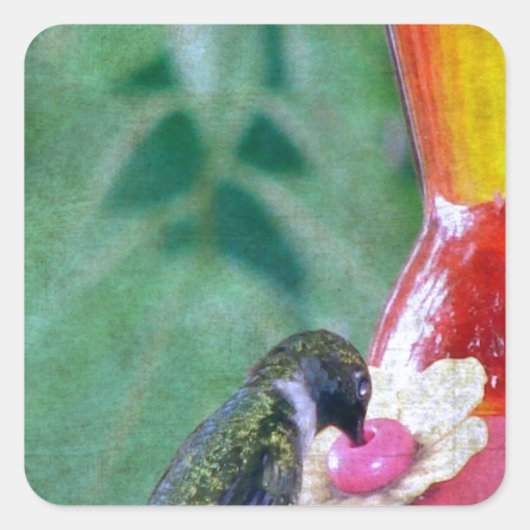Hummingbird at Feeder Vierkante Sticker (Voorkant)
