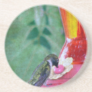 Hummingbird at Feeder Zandsteen Onderzetter