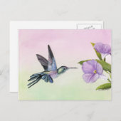 Hummingbird at Morning Glory bird art Briefkaart (Voorkant / Achterkant)