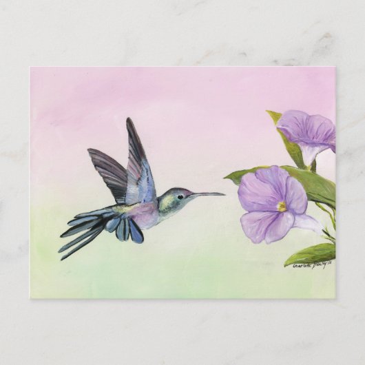Hummingbird at Morning Glory bird art Briefkaart (Voorkant)