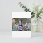 Hummingbird Babies Briefkaart (Staand voorkant)