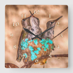 HUMMINGBIRD BABIES BUSTING LOOSE VIERKANTE KLOK