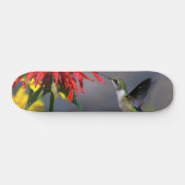 Hummingbird Beauty Persoonlijk Skateboard (Horizontaal)