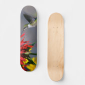 Hummingbird Beauty Persoonlijk Skateboard (Voorkant)