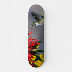 Hummingbird Beauty Persoonlijk Skateboard