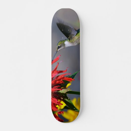 Hummingbird Beauty Persoonlijk Skateboard (Voorkant)