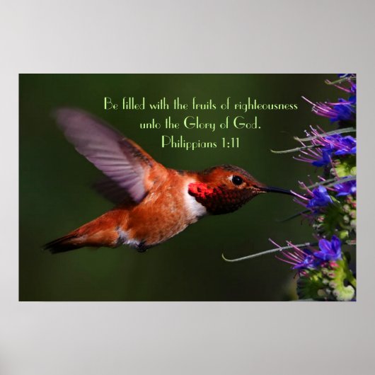 Hummingbird bible verse Philippians 1:11 Poster (Voorkant)