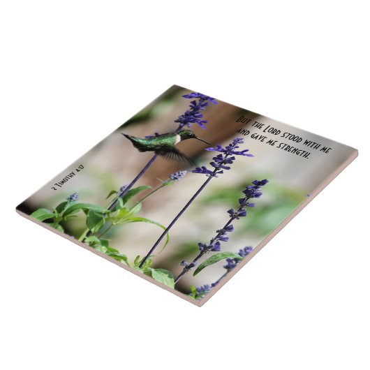 Hummingbird bij Vloer w/Scriptversie Tegeltje (Zijkant)