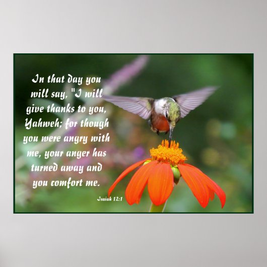 Hummingbird Bird Flower Floral Isaiah 12:2 Poster (Voorkant)