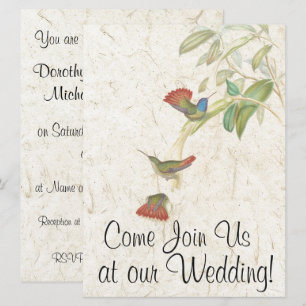 Hummingbird Bird Flowers Weddenschap Kaart