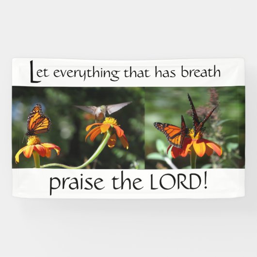 Hummingbird Bird Monarch Foto van Lord Christelijk Spandoek (Horizontaal)