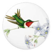 Hummingbird Bird Wildlife Animal Floral Knob Keramische Knop (Voorkant)