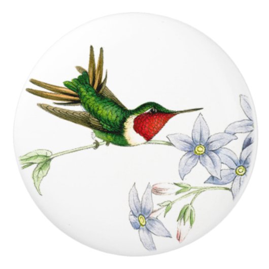 Hummingbird Bird Wildlife Animal Floral Knob Keramische Knop (Voorkant)
