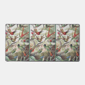 Hummingbird Bird Wildlife Classic Painting Bureaumat (Voorkant)