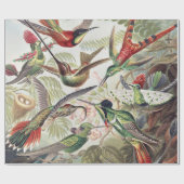 Hummingbird Bird Wildlife Classic Painting Cadeaupapier (Vlak)