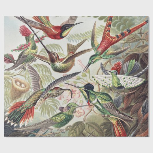 Hummingbird Bird Wildlife Classic Painting Cadeaupapier (Vlak)