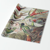 Hummingbird Bird Wildlife Classic Painting Cadeaupapier (Uitgerold)